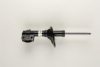 BILSTEIN 22-156679 Shock Absorber